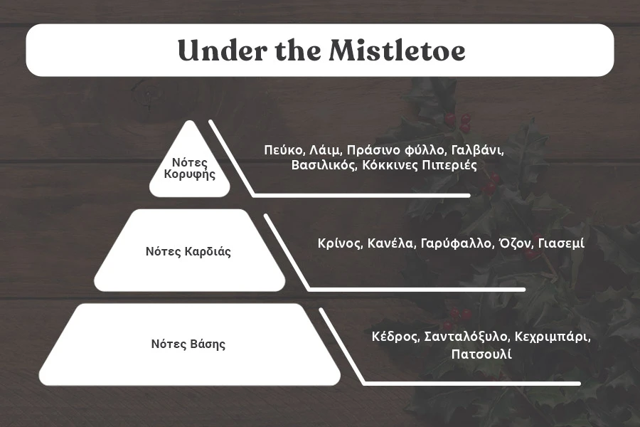 Under the Mistletoe - Aromatična sveća od sojinog voska sa pamučnim fitiljem (110gr)-dimenzije_slike