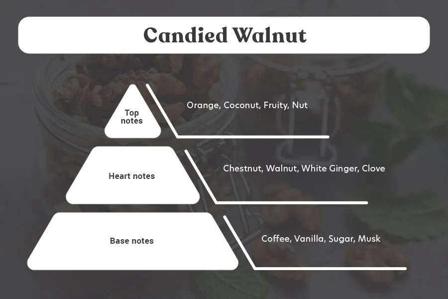 Candied Walnut - Aromatična sveća od sojinog voska sa pamučnim fitiljem (110gr)-