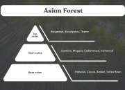 Asian Forest - Aromatična sveća od sojinog voska sa pamučnim fitiljem (110gr)-