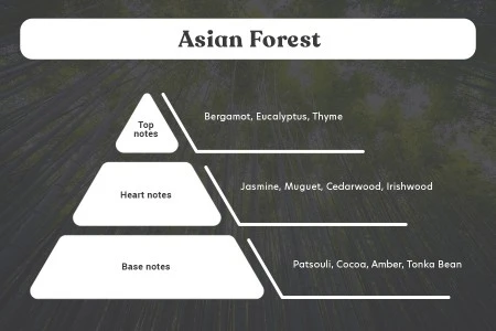 Asian Forest - Aromatična sveća od sojinog voska sa pamučnim fitiljem (110gr)-grupa_slika