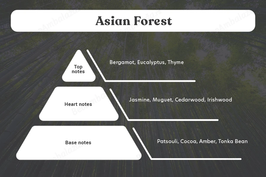 Asian Forest - Aromatična sveća od sojinog voska sa pamučnim fitiljem (110gr)-