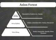Asian Forest - Aromatična sveća od sojinog voska sa pamučnim fitiljem (110gr)-dimenzije_slike
