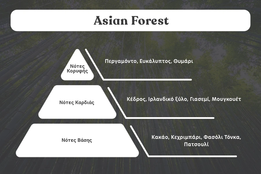 Asian Forest - Aromatična sveća od sojinog voska sa pamučnim fitiljem (110gr)-dimenzije_slike