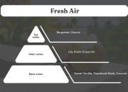 Fresh Air - Aromatična sveća od sojinog voska sa pamučnim fitiljem (110gr)-