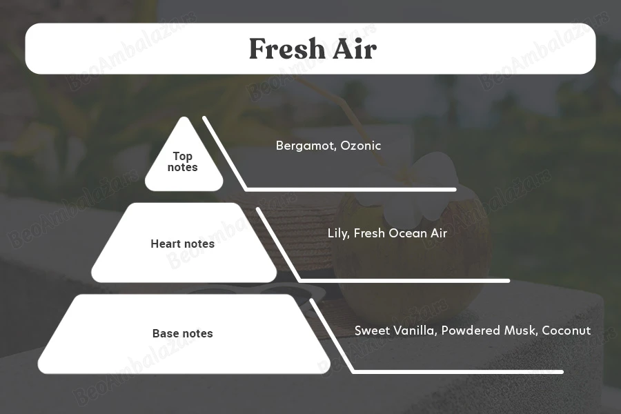 Fresh Air - Aromatična sveća od sojinog voska sa pamučnim fitiljem (110gr)-