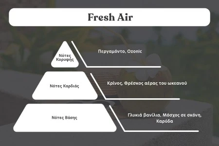 Fresh Air - Aromatična sveća od sojinog voska sa pamučnim fitiljem (110gr)-2