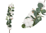 Dekorativna grana - cvet pamuka sa zelenim listovima-slika_proizvoda