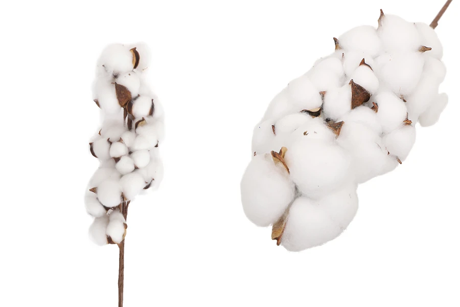 Dekorativna grana sa cvetovima pamuka-slika_proizvoda