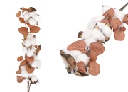 Dekorativna grana - cvet pamuka sa braon listovima-slika_proizvoda