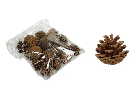Šišarke za dekoraciju - 10 kom-1