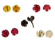 Suvi plodovi za dekoraciju, u raznim bojama - 10 kom-slika_proizvoda