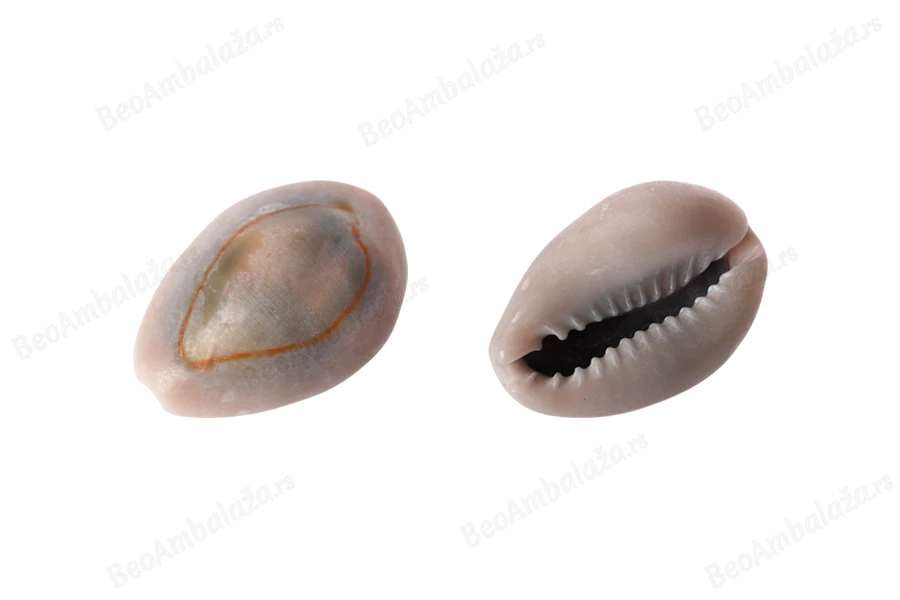 Ukrasne školjke u zemljanim bojama - paket 200gr (oko 92 kom)-dimenzije_slike