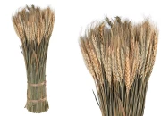 Ukrasno sušeno klasje 50 cm u buketu od 450 g-slika_proizvoda