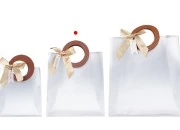 Plastična poluprovidna poklon torbica 200x100x220 mm sa mašnom i kožnim ručkama - 12 kom Plastična poluprovidna poklon torbica 200x100x220 mm sa mašnom i kožnim ručkama - 12 kom-grupa_slika