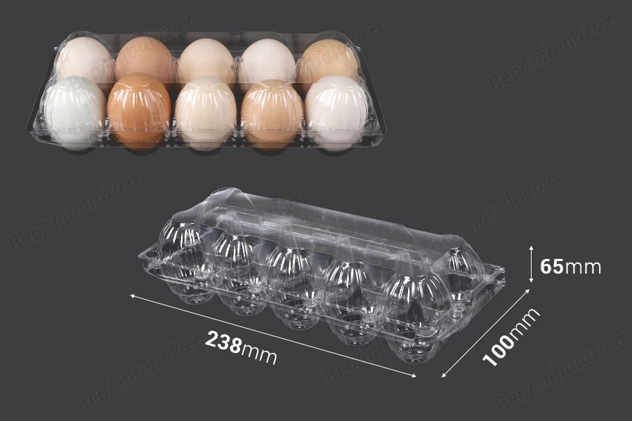 Plastične kutije za jaja sa 10 mesta, dimenzija 238x100x65 mm - 100 kom-dimenzije_slike