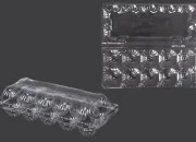 Plastične kutije za jaja sa 10 mesta, dimenzija 238x100x65 mm - 100 kom