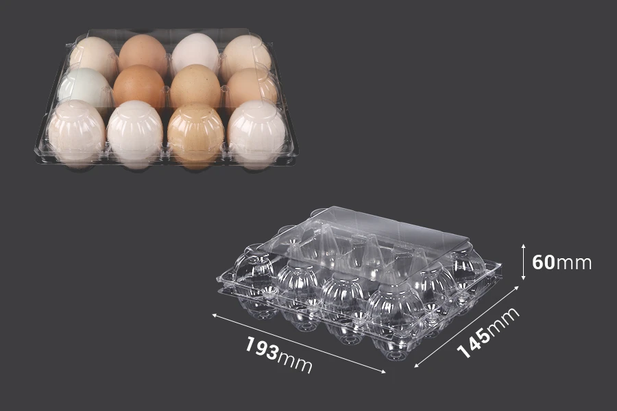 Plastične kutije za jaja sa 12 mesta, dimenzija 193x145x60 mm - 100 kom-dimenzije_slike