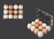 Plastične kutije za jaja sa 12 mesta, dimenzija 193x145x60 mm - 100 kom-grupa_slika