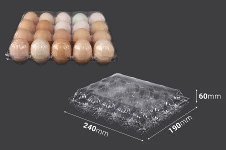 Plastične kutije za jaja sa 20 mesta, dimenzija 240x190x60 mm - 100 kom-2