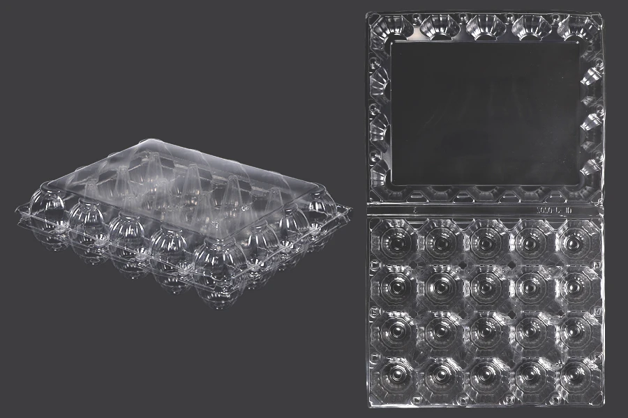 Plastične kutije za jaja sa 20 mesta, dimenzija 240x190x60 mm - 100 kom