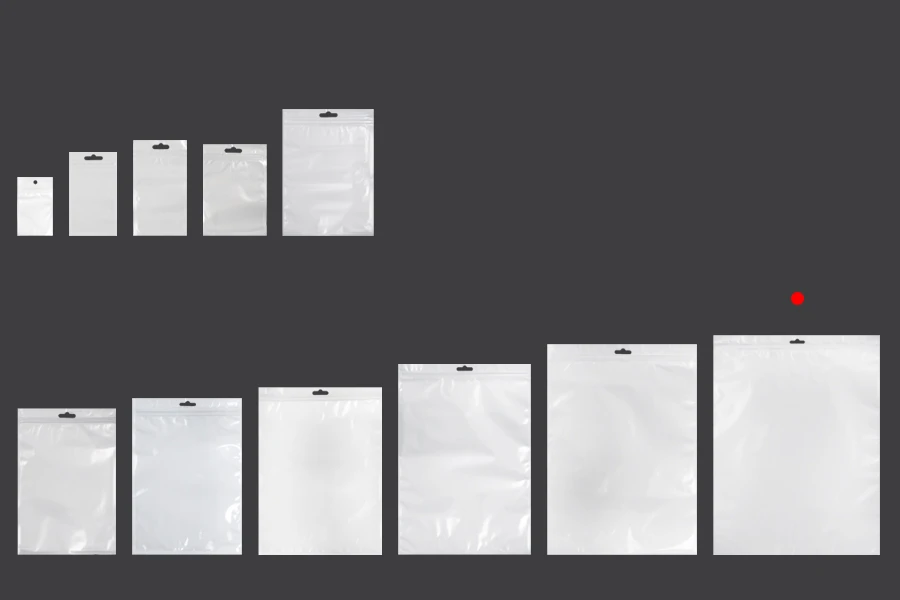 Plastična zip kesica 300x400mm sa belom zadnjom i providnom prednjom stranom i Eurohole otvorom - 100 kom-grupa_slika