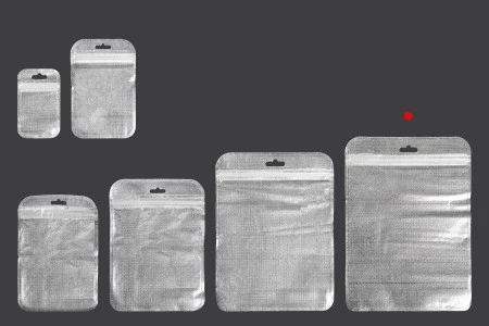Kesica 160x220mm sa zip zatvaranjem, srebrnom non woven zadnjom i providnom prednjom stranom i sa Eurohole otvorom - 100 kom-5