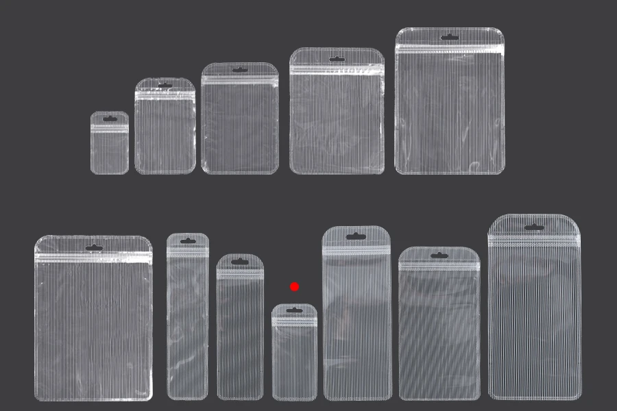 Plastična zip kesica 60x130mm sa providnom prednjom stranom, zadnjom providnom stranom sa linijama i sa Eurohole otvorom - 100 kom-grupa_slika