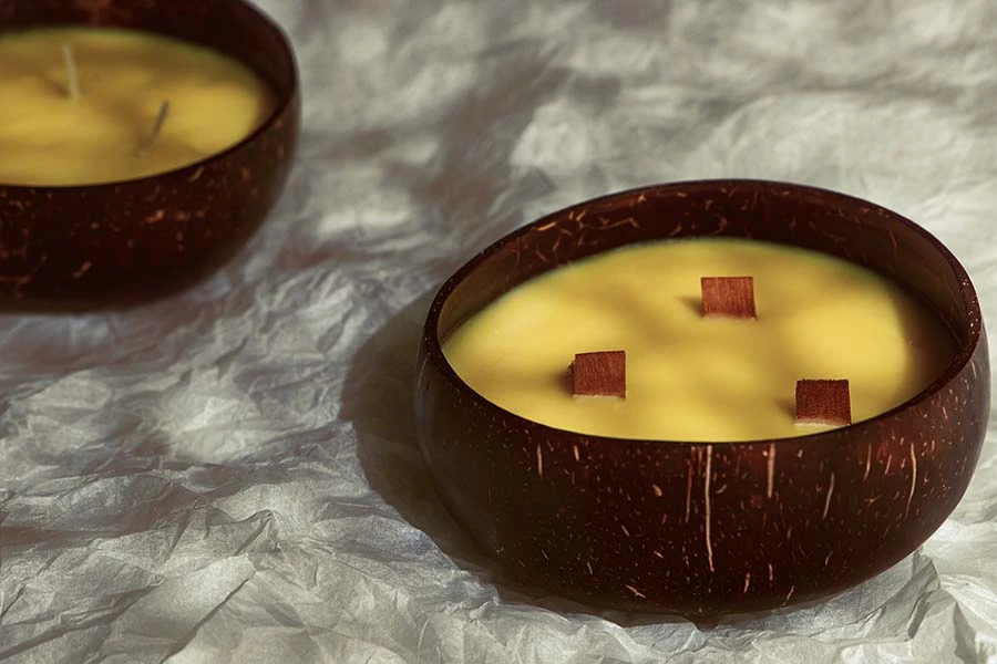 Posuda od prirodnog kokosa - spoljašnji prečnik 14cm-grupa_slika