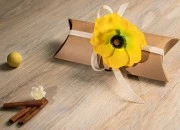 Papirna kraft jastuk - kutija 200x90x40mm - 20 kom Papirna kraft jastuk - kutija 200x90x40mm - 20 kom