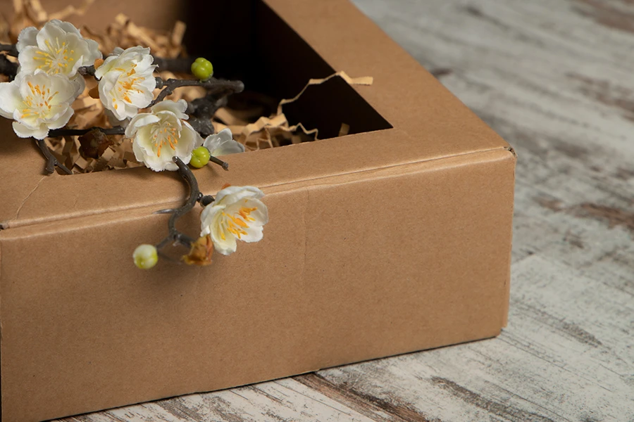 Kraft kutija za pakovanje sa prozorom 230x180x70mm - 20 kom-grupa_slika