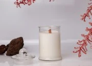 Staklena okrugla tegla 150mL sa staklenim poklopcem i hermetičkim zatvaranjem-grupa_slika