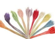 Suvo cveće u raznim bojama za dekoraciju - 1 kom (buket sa oko 50 grana)-dimenzije_slike