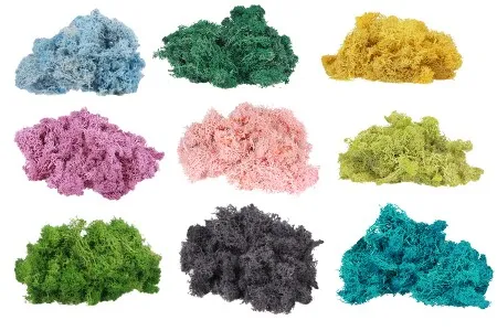 Prirodna mahovina za dekoraciju - pakovanje od 200 gr-2