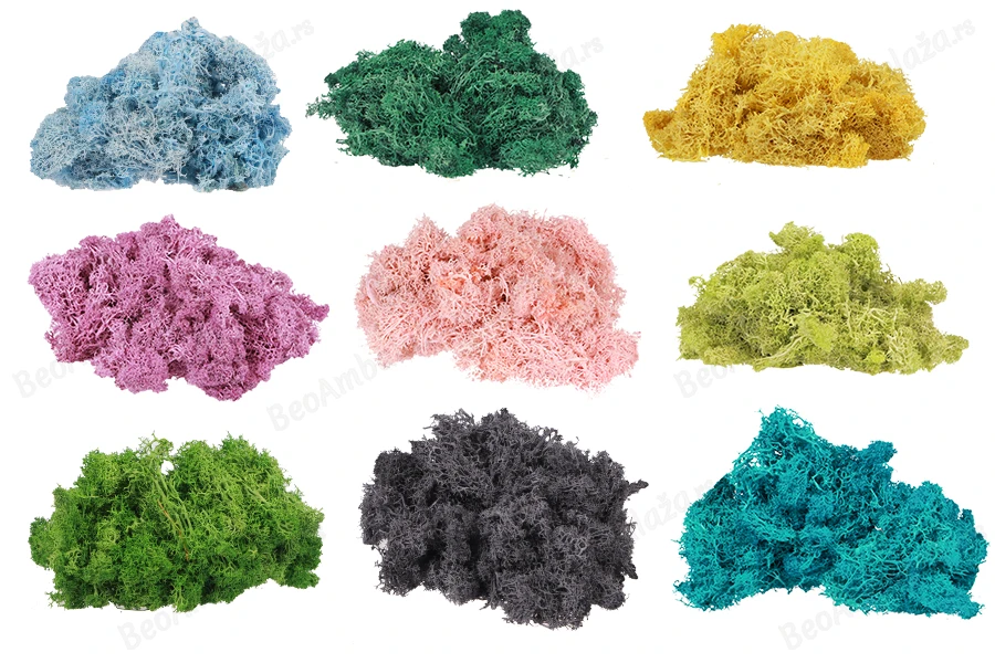 Prirodna mahovina za dekoraciju - pakovanje od 200 gr-dimenzije_slike