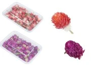 Suvo cveće za dekoraciju - 18 gr Suvo cveće za dekoraciju - 18 gr