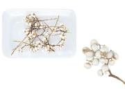 Ukrasne grančice za sveće i ručne radove - 15 gr-slika_proizvoda