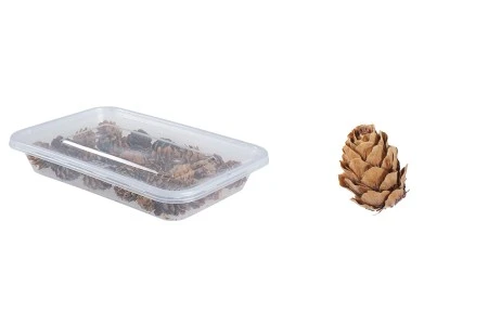 Šišarke za dekoraciju - 30 gr-1