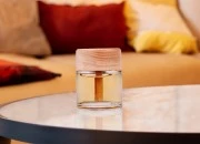 Providna staklena bočica 50mL sa drvenim zatvaračem, za osveživač prostora Providna staklena bočica 50mL sa drvenim zatvaračem, za osveživač prostora