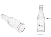 Staklena flašica 100mL za piće (PP 25)