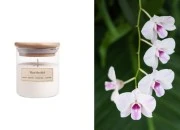 Thai Orchid - Aromatična sveća od sojinog voska sa drvenim fitiljem (110gr)-slika_proizvoda