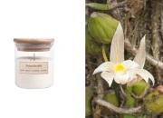 Forest Orchid - Aromatična sveća od sojinog voska sa drvenim fitiljem (110gr)-slika_proizvoda