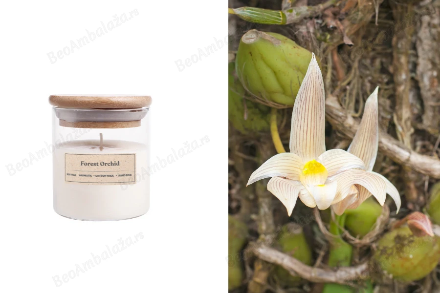 Forest Orchid - Aromatična sveća od sojinog voska sa drvenim fitiljem (110gr)-slika_proizvoda
