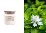 Gardenija - aromatična sveća od sojinog voska sa drvenim fitiljem (110gr) Gardenija - aromatična sveća od sojinog voska sa drvenim fitiljem (110gr)