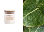 Green Foliage - Aromatična sveća od sojinog voska sa drvenim fitiljem (110gr)-slika_proizvoda