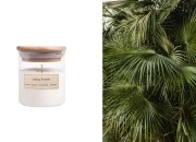 Asian Forest - Aromatična sveća od sojinog voska sa pamučnim fitiljem (110gr)-slika_proizvoda