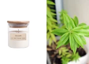 Citronella - Aromatična sveća od sojinog voska sa pamučnim fitiljem (110gr)-slika_proizvoda