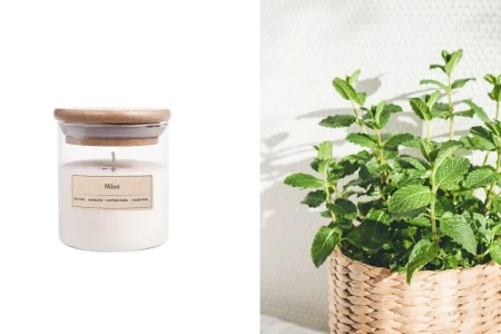 Mint - Aromatična sveća od sojinog voska sa pamučnim fitiljem (110gr)-slika_proizvoda