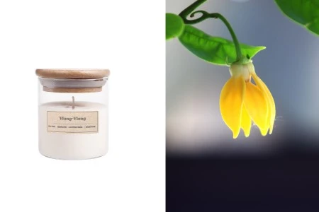 Ylang-ylang  - Aromatična sveća od sojinog voska sa pamučnim fitiljem (110gr)-slika_proizvoda