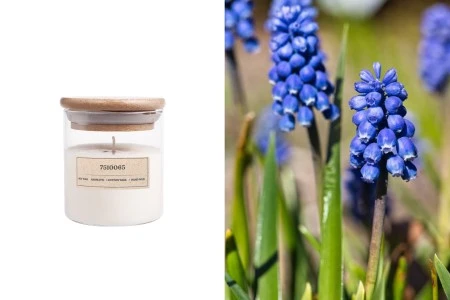 Azure Blooms - Aromatična sveća od sojinog voska sa pamučnim fitiljem (110gr)-1