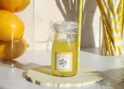 Staklena flašica 95mL sa zatvaračem, 86/19-grupa_slika